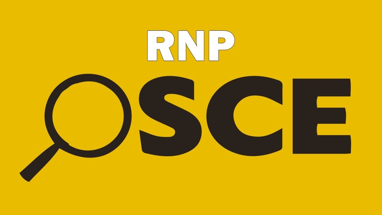 RNP Proveedor